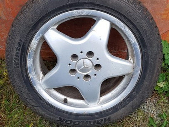 Rattad R17