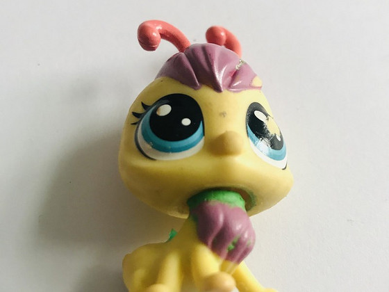 LPS