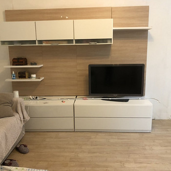 Müüa SECTION