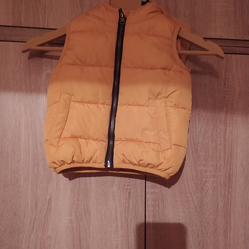 Vest