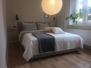 Korterite, majade, võtmed kätte kontorite remont (4 foto / 8)