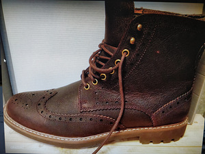 Мужские сапоги Clarks (1 фото из 1)