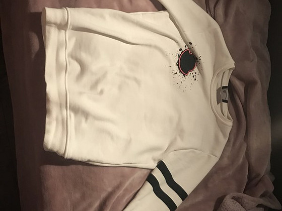 Moncler sweatshirt