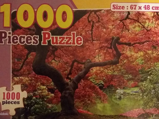 Новый пазл 1000 шт. + подарок