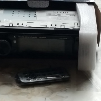 Livia autostereo