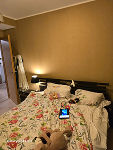 Värvimis- ja krohvitööd (8 foto / 10)