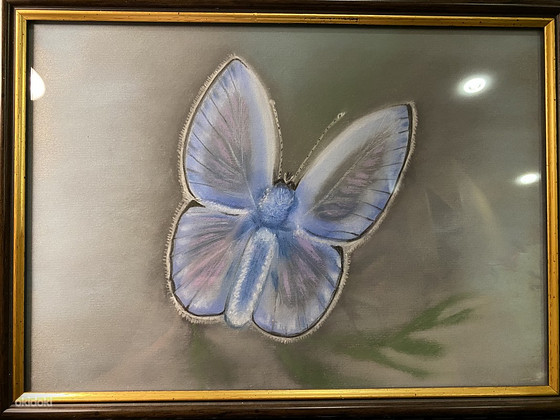 Müüa maal pastell