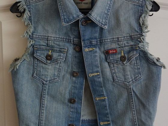 Vest