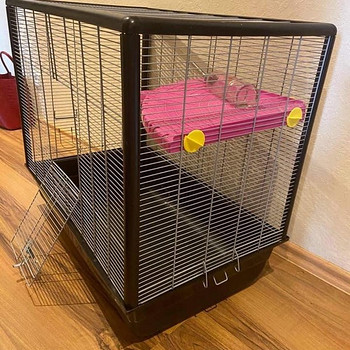 Mahukas kast rottidele / Roomy cage for närilised