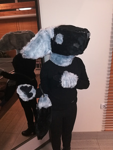 Fursuit (1 foto / 2)