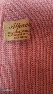 Альпака (2 фото из 3)