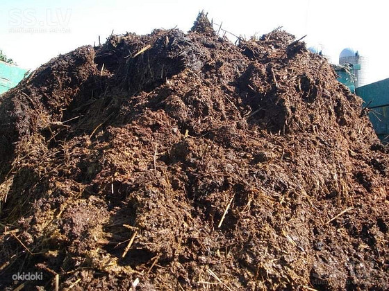 Sõnnik