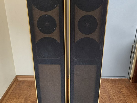 Hotmedia LS 3000 Põrandakõlarid