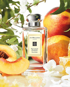 Jo Malone London Nectarine Blossom & Honey (1 foto / 1)