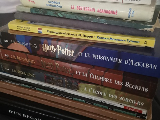 Книги на французском