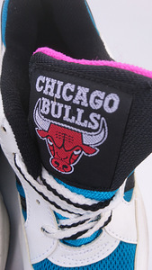 Chicago Bullsi laste tossud (3 foto / 3)