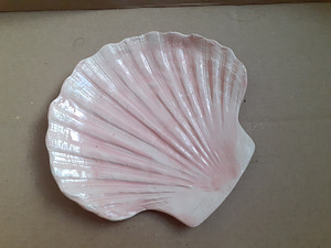 Фаянс и ракушки (9 фото из 10)