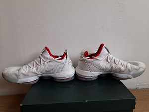 Korvpalli tossud (Lebron 16 low) (4 foto / 10)