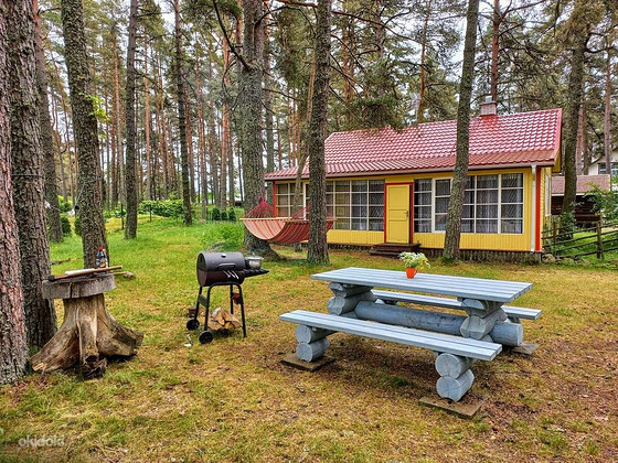 Rendi Endale Suvemaja Peipsi Järve Ääres!