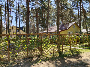 Снять дачу на берегу Чудского озера! (12 фото из 12)