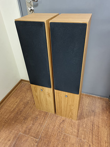 Audio Pro Stage 55 (1 фото из 7)