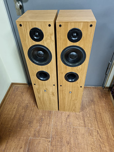 Audio Pro Stage 55 (3 фото из 7)