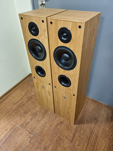 Audio Pro Stage 55 (7 фото из 7)
