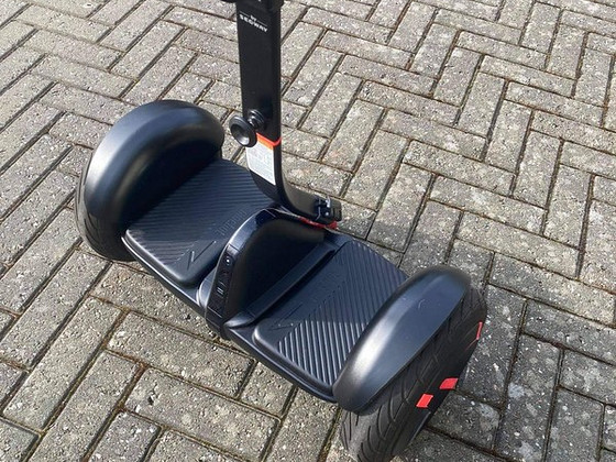 Балансир, Segway ninebot minipro