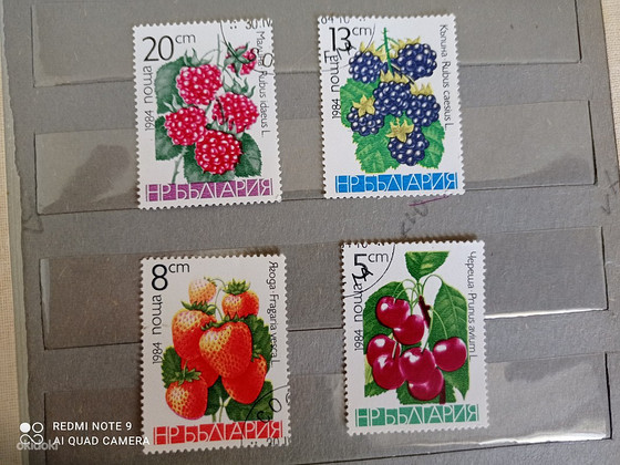 Марки