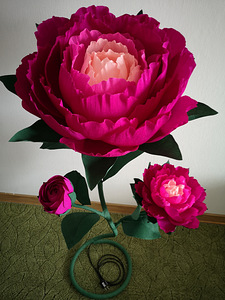 Lillede lamp (2 foto / 6)