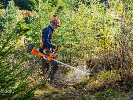 Работа по осветлению леса в Финляндии