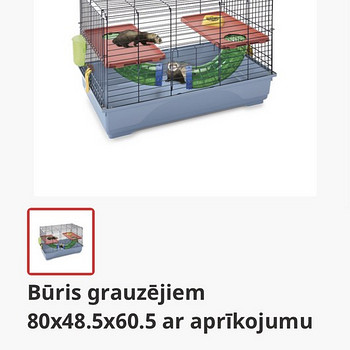 Puur