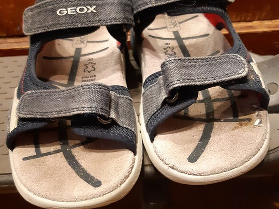 Geox 30