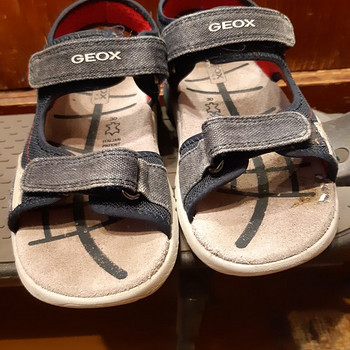 Geox 30