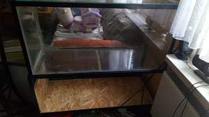 Akvaarium 180L (2 foto / 2)