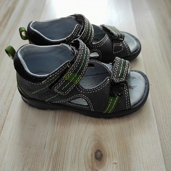 Ecco s.25