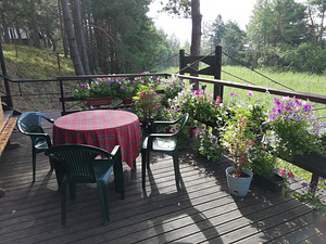 Puhata Chudchkoye järve kaldal (3 foto / 10)