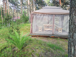 Puhata Chudchkoye järve kaldal (5 foto / 10)