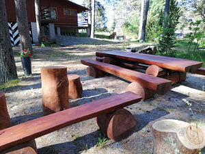 Puhata Chudchkoye järve kaldal (6 foto / 10)