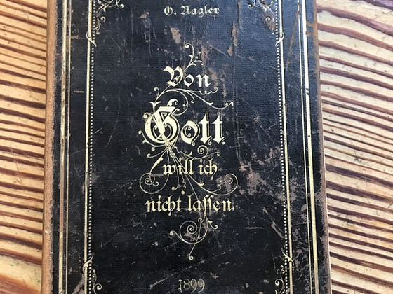 Старая немецкая книга 1899 г.