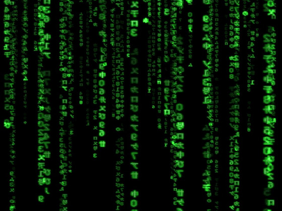 Veebisait tellimiseks. Koduleht. Programmeerimine.