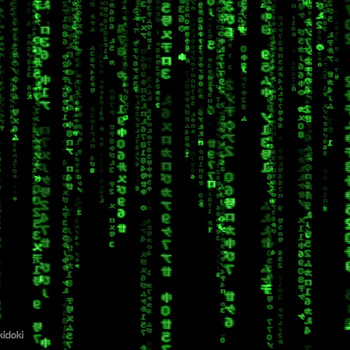 Veebisait tellimiseks. Koduleht. Programmeerimine.