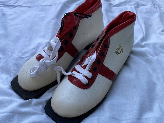 Лыжные ботинки BOTAS