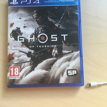 Ghost Of Thushima