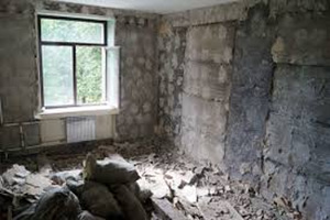 Ищу работу по демонтажу (1 фото из 1)