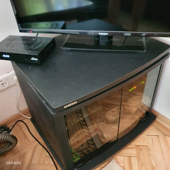 TV laud