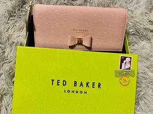 Новая миниатюрная сумка Ted Baker (1 фото из 4)