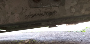 Haagis-suvila ABI DAY STAR 1999 (5 foto / 5)