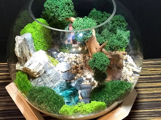 Флорариум, Floraarium