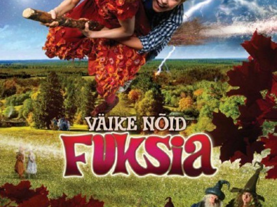 Маленькая ведьма фуксия dvd